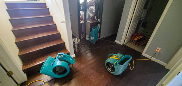 Best Professional water damage repair  in Winchester, MO