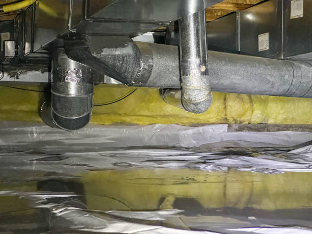 Best Water damage contractors near me  in Winchester, MO