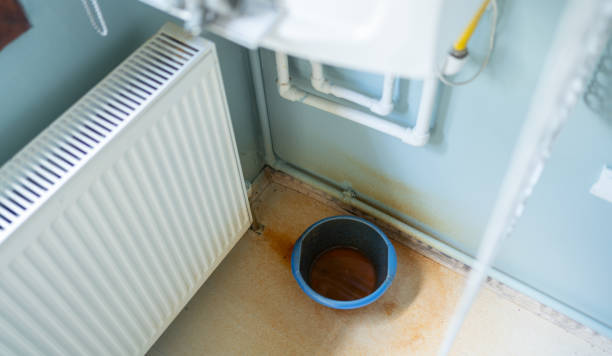 Best Water damage cleanup near me  in Winchester, MO